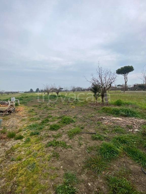 terreno agricolo in vendita a Rimini in zona Viserbella