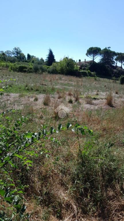 terreno agricolo in vendita a Rimini in zona San Fortunato