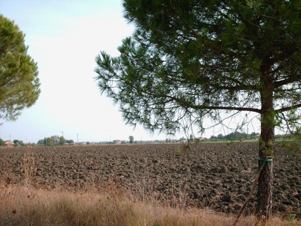 terreno edificabile in vendita a Rimini in zona Gaiofana