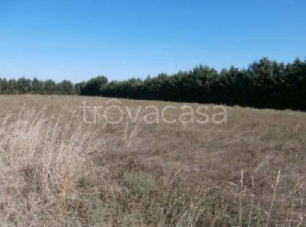 terreno agricolo in vendita a Rimini in zona Spadarolo