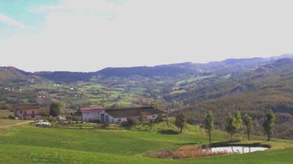 azienda agricola in vendita a Rimini