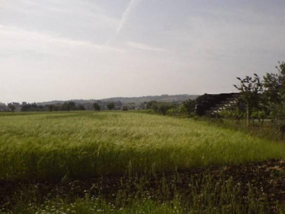 terreno agricolo in vendita a Rimini in zona Corpolò