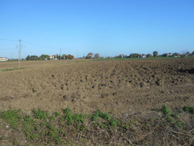 terreno agricolo in vendita a Rimini in zona Torre Pedrera