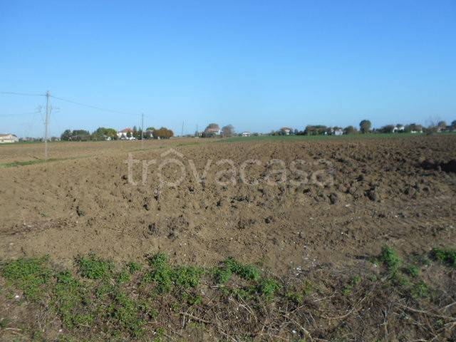 terreno agricolo in vendita a Rimini in zona San Vito