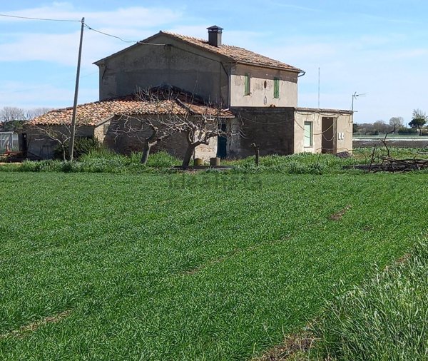 esavano in vendita a Rimini