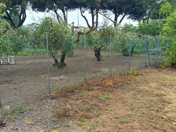 terreno agricolo in vendita a Rimini in zona Torre Pedrera