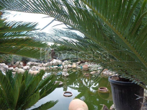 negozio in vendita a Rimini in zona Centro Storico