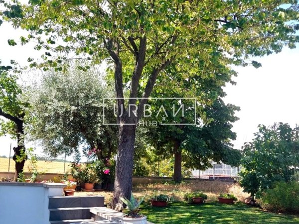 appartamento in vendita a Rimini in zona Borgo Mazzini