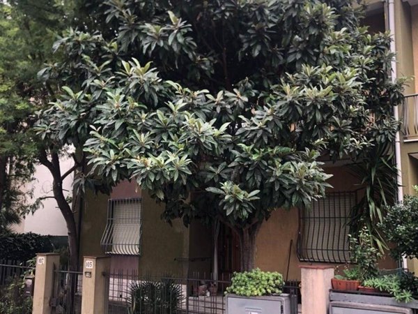 appartamento in vendita a Rimini in zona San Giuliano a Mare