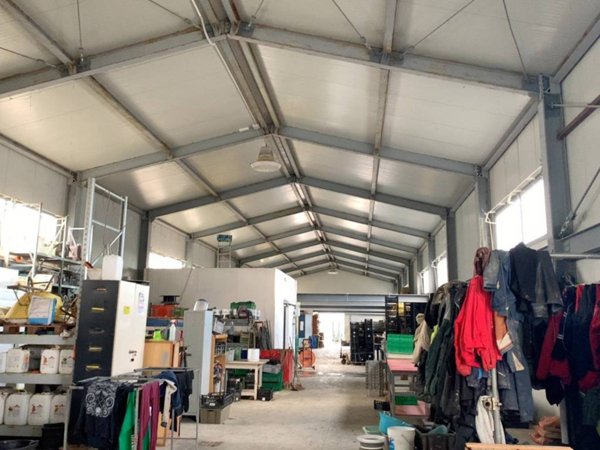 terreno agricolo in vendita a Rimini in zona Gaiofana