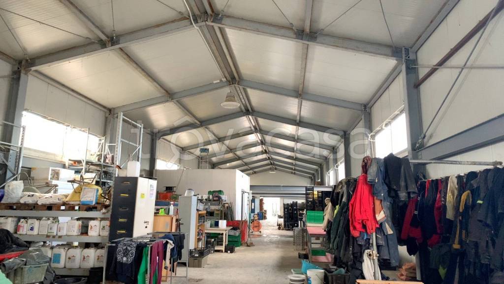 terreno agricolo in vendita a Rimini in zona Gaiofana