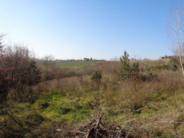 terreno agricolo in vendita a Rimini in zona Grotta Rossa