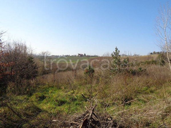 terreno agricolo in vendita a Rimini in zona Centro Storico