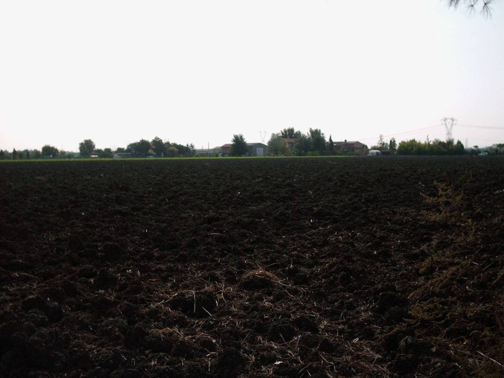 terreno edificabile in vendita a Rimini in zona Grotta Rossa