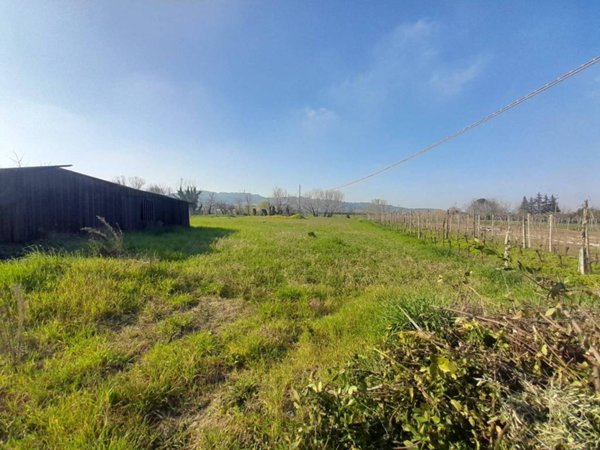 terreno agricolo in vendita a Rimini in zona San Lorenzo in Correggiano