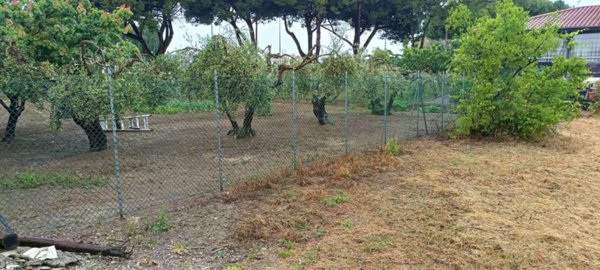 immagine annuncio 0 di 3