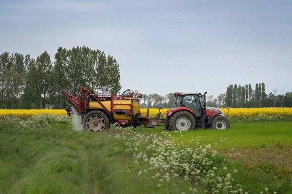 terreno agricolo in vendita a Rimini in zona Corpolò