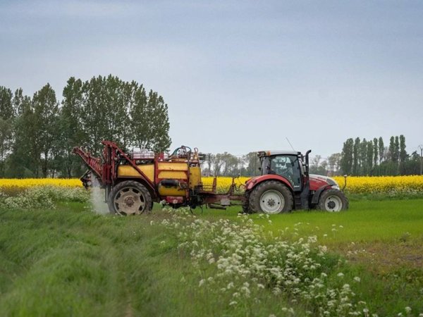 terreno agricolo in vendita a Rimini in zona Spadarolo