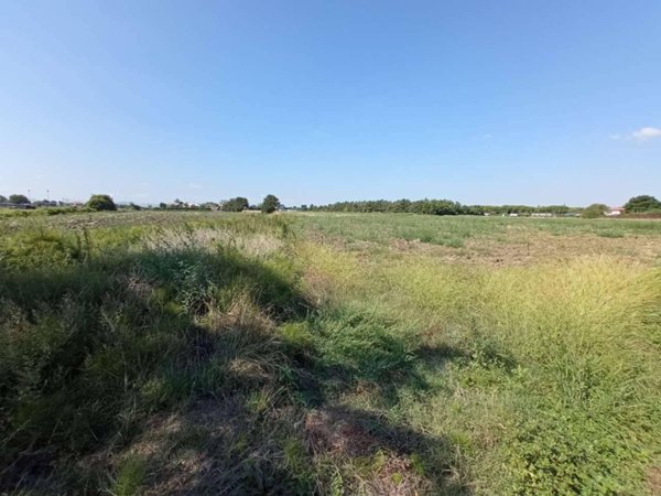 terreno agricolo in vendita a Rimini in zona Torre Pedrera