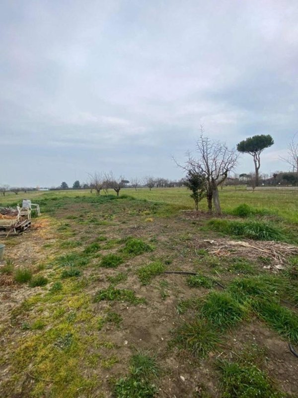 terreno agricolo in vendita a Rimini in zona Viserba