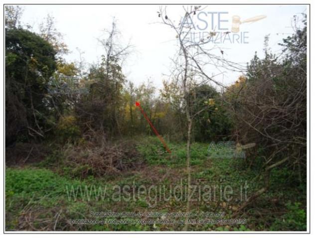 terreno edificabile in vendita a Rimini in zona San Lorenzo in Correggiano