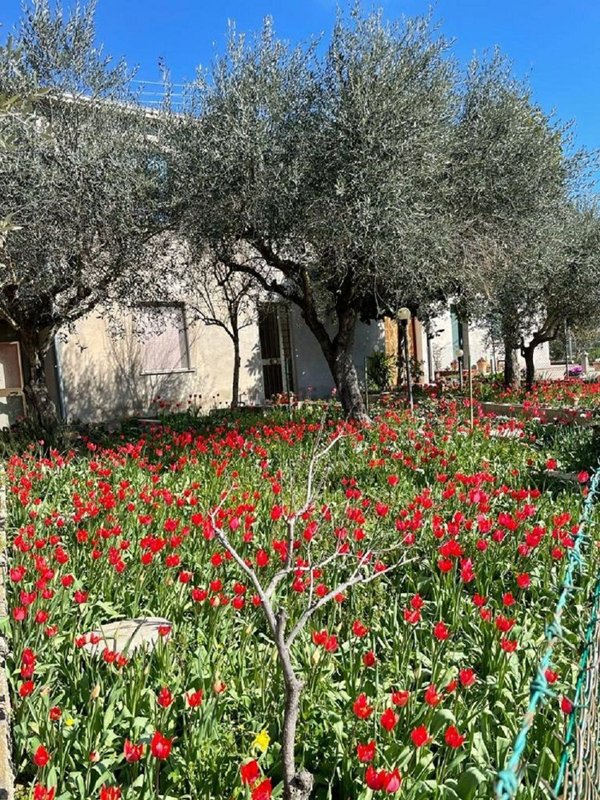 casa indipendente in vendita a Rimini in zona San Lorenzo in Correggiano