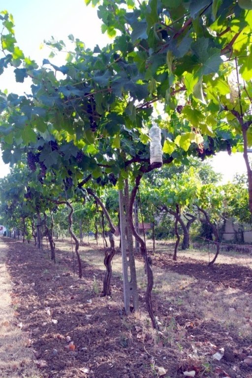ufficio in vendita a Rimini