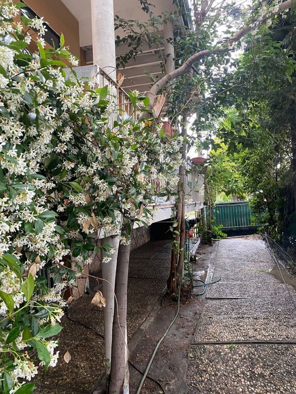 appartamento in vendita a Rimini in zona Spadarolo
