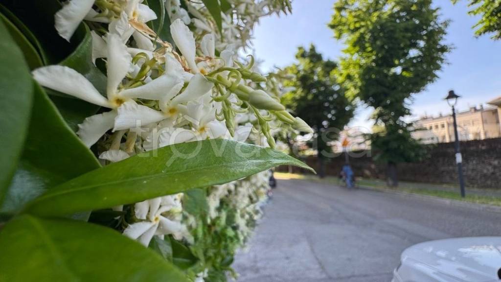 appartamento in vendita a Rimini in zona Centro Storico