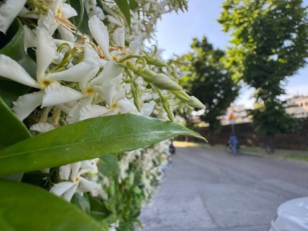 appartamento in vendita a Rimini in zona Centro Storico