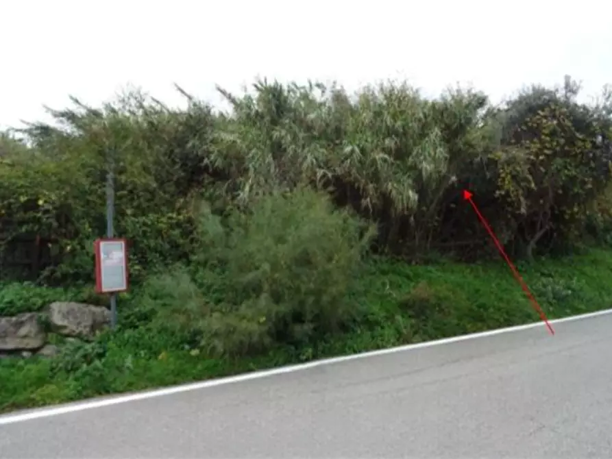 terreno agricolo in vendita a Rimini in zona San Lorenzo in Correggiano