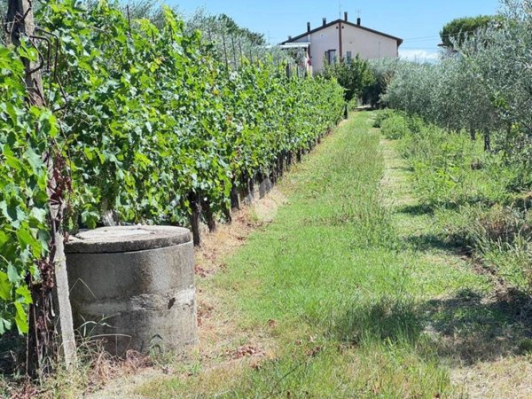 terreno agricolo in vendita a Rimini in zona Spadarolo