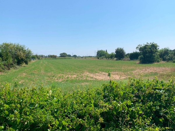 terreno agricolo in vendita a Rimini in zona Vergiano