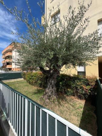 appartamento in vendita a Rimini in zona Corpolò