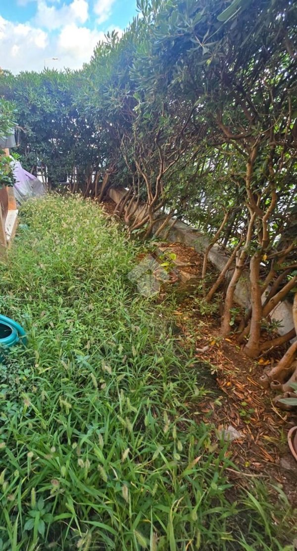 appartamento in vendita a Rimini in zona Torre Pedrera