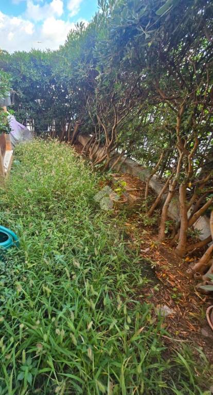 appartamento in vendita a Rimini in zona Torre Pedrera