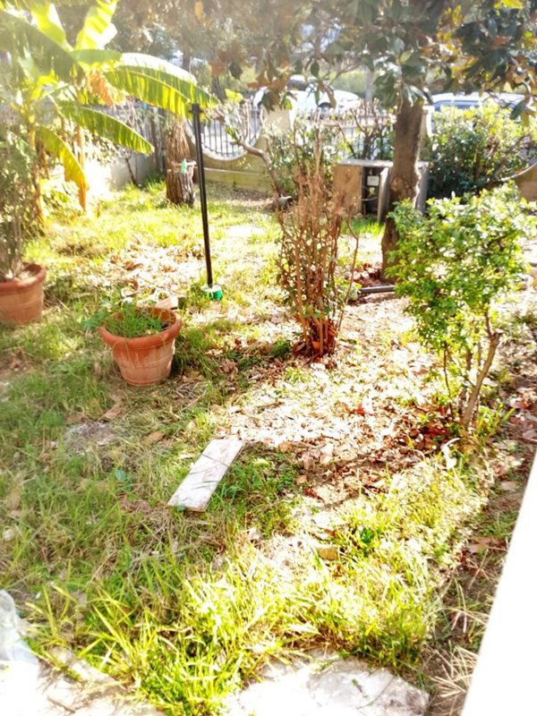 appartamento in vendita a Rimini in zona Torre Pedrera