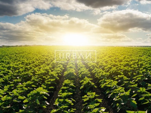 ufficio in vendita a Rimini in zona Marina Centro