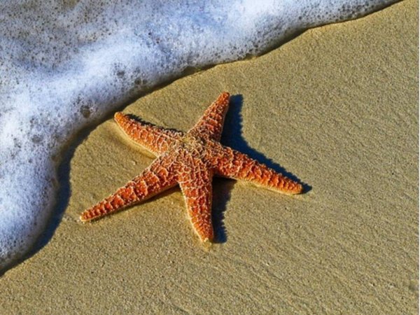 negozio in vendita a Rimini in zona Bellariva