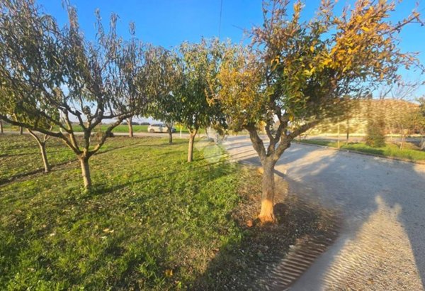 casa indipendente in vendita a Rimini in zona Torre Pedrera