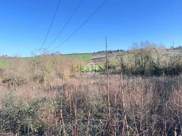 terreno agricolo in vendita a Rimini in zona Vergiano