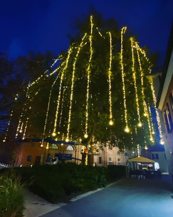 negozio in vendita a Rimini