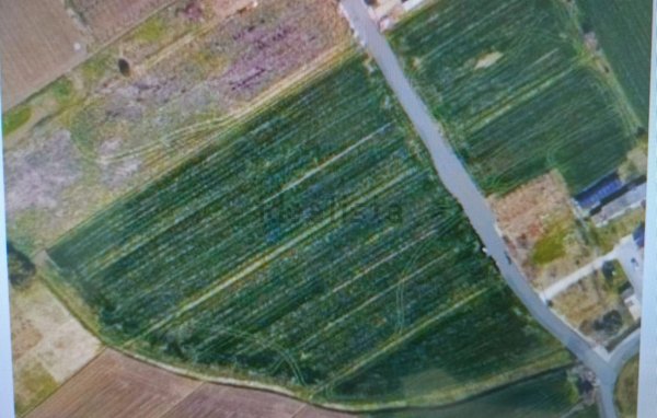 terreno agricolo in vendita a Rimini in zona Torre Pedrera