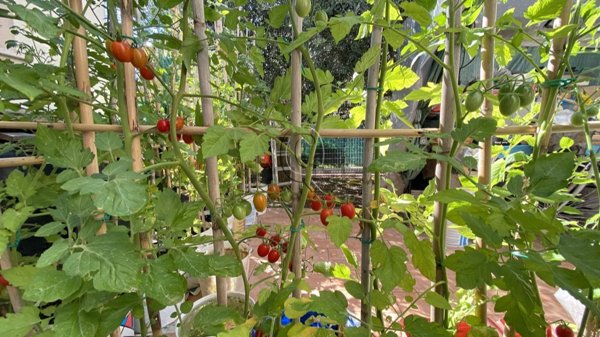 casa indipendente in vendita a Rimini in zona Colonnella