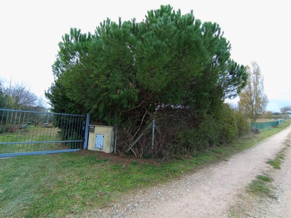 terreno agricolo in vendita a Rimini in zona Centro Storico