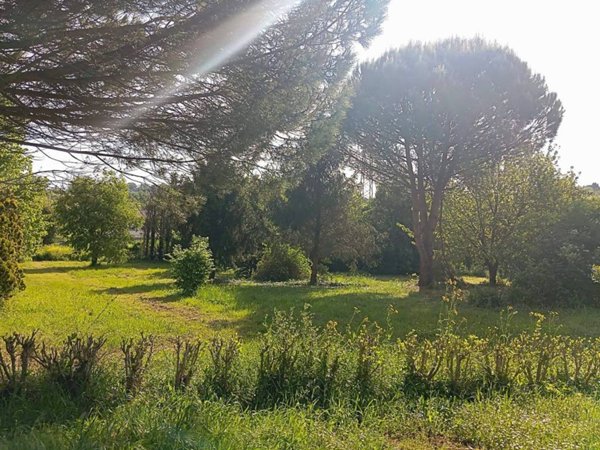terreno agricolo in vendita a Rimini in zona Grotta Rossa