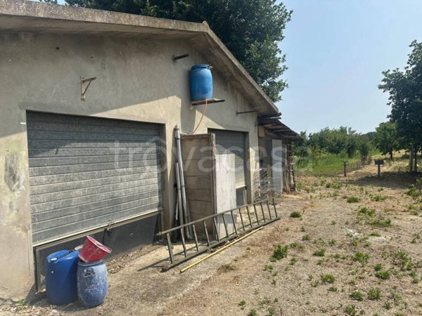 terreno agricolo in vendita a Rimini in zona Spadarolo