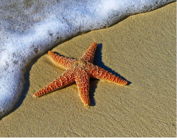 monolocale in vendita a Rimini in zona Marina Centro