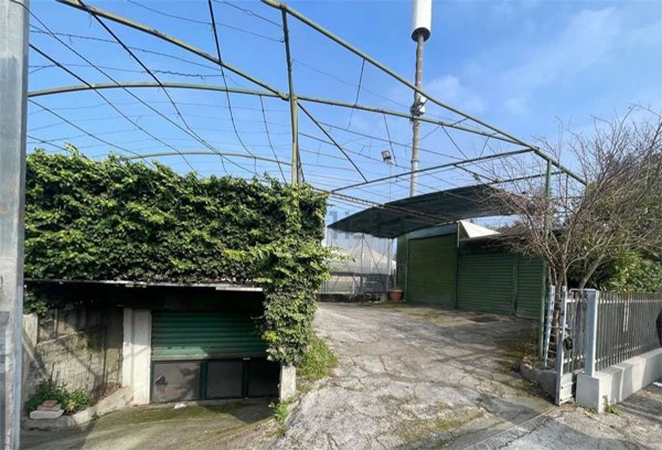 trivano in vendita a Rimini