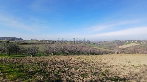 terreno agricolo in vendita a Rimini